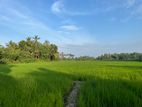 Paddy Lands for Sale හම්බන්තොට