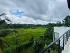 PADDY VIEW FACING BRAND NEW MODERN VILLA TYPE HOUSE FOR SALE IN KOTTAWA