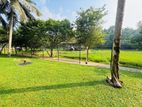 PADDY VIEW GROUND FLOOR 3 BR ARIYANA RESORT APARTMENT FOR SALE