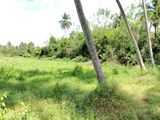 Paddy with Coconut Land for Sale Kurunegala