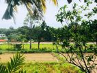 PaddyField Facing 10 p Bare Land For Sale