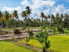 Padeniya Residential Land for Sale