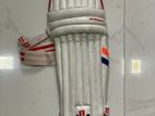 Cricket Pads Set