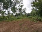 Padukka : 60P Highly Residential Land for Sale in Malagala