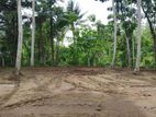 Padukka Cultivated Land for Sale