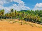Padukka malagala lands for sale