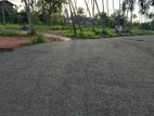 පැල්ලන්දෙනිය ඉඩමක් විකිණීමට