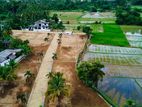 පැල්ලන්දෙනිය සුන්දර වෙල්යායකට මුහුණලා බිම් කොටස්