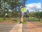 පැල්ලන්දෙනියෙන් පුත්තලම් පාර ළඟින්ම