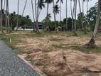 පැල්ලන්දෙණිය හන්දියෙන්ම පදිංචියට සුපිරි ඉඩමක්