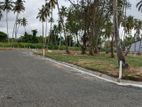 පැල්ලන්දෙණිය හන්දියෙන්ම සුපිරි ඉඩමක්
