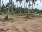 පැල්ලන්දෙණිය හන්දියෙන්ම වයාපාරික හා නේවාසික සුපිරි ඉඩමක්