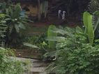 පැල්මඩුල්ල පාතකඩ ජාතික පාසල අසල ඉඩමක් විකිණීම