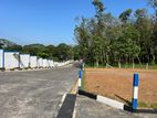 පැය 24ම බස් යන හයිලෙවල් පාරෙන්ම වටිනා ඉඩමක් විකිණීමට ඇත