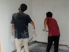 Paint Finishing Services with Plastering