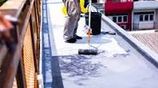 Painting Expert in Colombo
