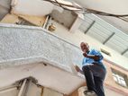 Painting Professional Services - All Island