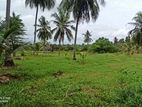 Pallama Puliyankulama Coconut Land