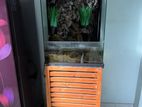 Paludarium setup
