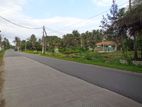 Pamunugama, Bopitiya beach road facing land for sale. 50m to