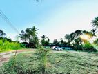 Panadura 10 P Prime Land for Sale