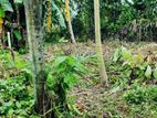 Panadura : 10 Perches Commercial Land for Sale at Debbadda