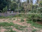 Panadura : 10 perches Land for Sale at Hirana