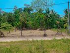 Panadura 10 Perches Land for Sale (SSPL-414)