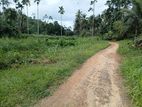 PANADURA 2 ACRES LAND FOR SALE