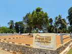 Panadura Best Lands For Sale