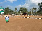 Panadura Gorakana Best Land For investment or Recidencial purposes N38