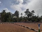Panadura, Gorakana Lands for sale | Close to moratuwa R03