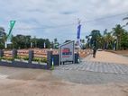 Panadura, Gorakana Lands near Bolgoda Lake area R03