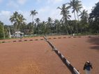 Panadura, Gorakana Lands with perch 6,7,10 lots R03