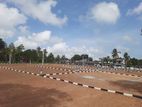 Panadura Gorakana Valuble Recidencial lands for sale N38