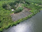 Panadura - Hirana Bolgoda River Facing Ecotourism Land Plot