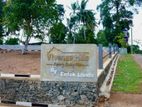 Panadura Hirana Land for Sale