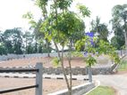 Panadura Hirana Lands