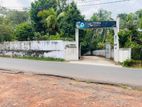 Panadura Hirana Road 10.P High Residential Land for Sale D29