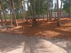 Panadura Hirana Road High Value Land Plots for Sale