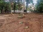 Panadura - Land for Rent