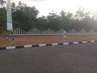 Panadura Land for Sale