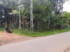 Panadura Land For Sale