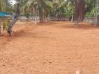 Panadura Land for Sale