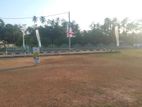 Panadura Land for Sale