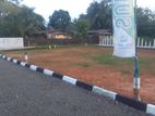Panadura Land for Sale