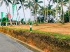 Panadura Land Plot for Sale