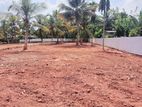 Panadura New Land for Sale