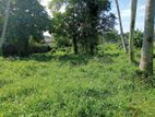 Panadura Prime Location Land for Sale ...