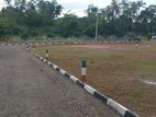 Panadura Property for Sale